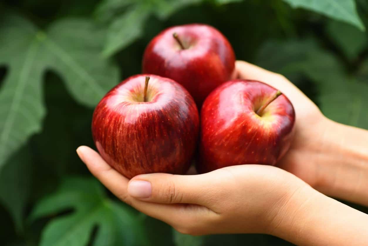 Crimson Crisp Apple