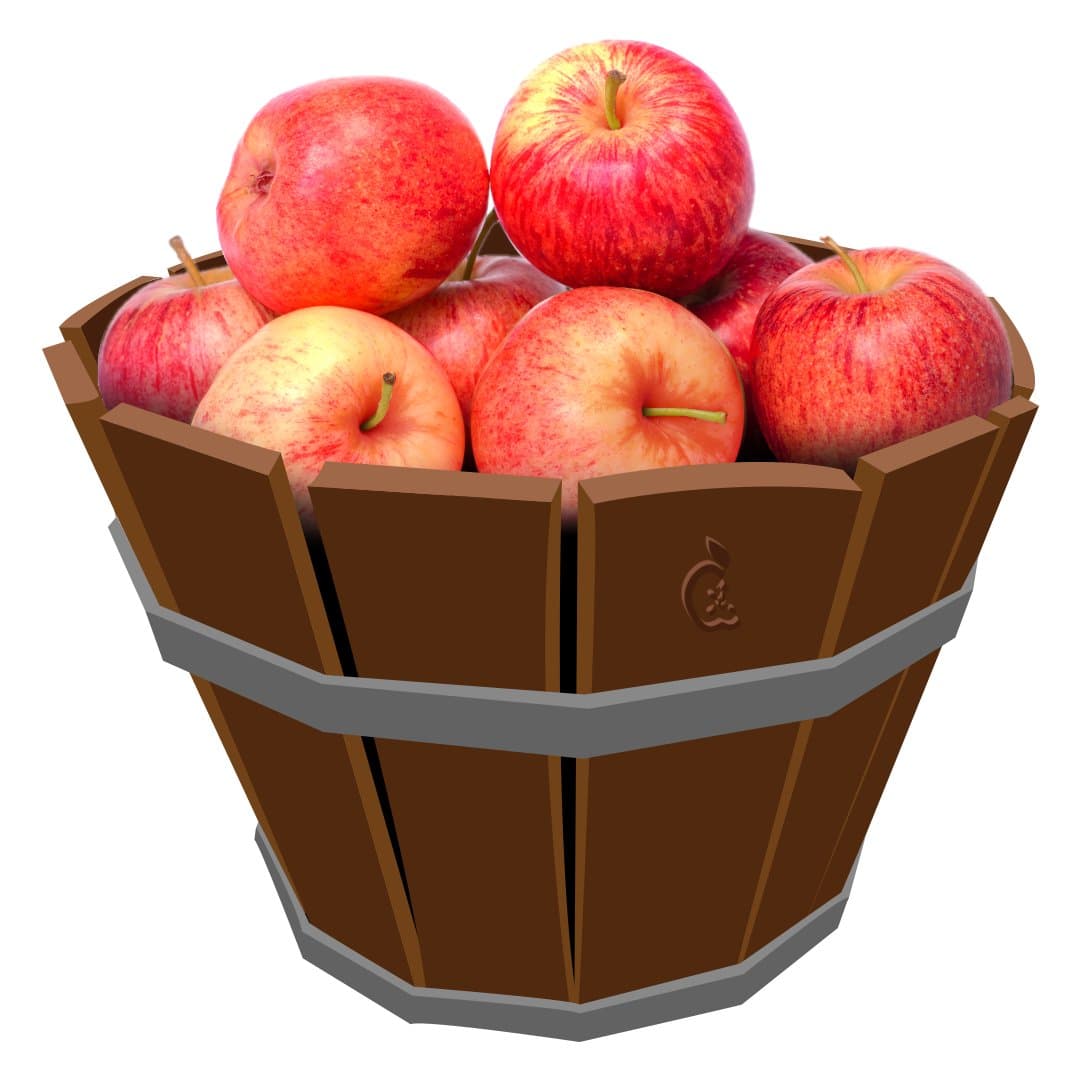 Spitzenburg Apple