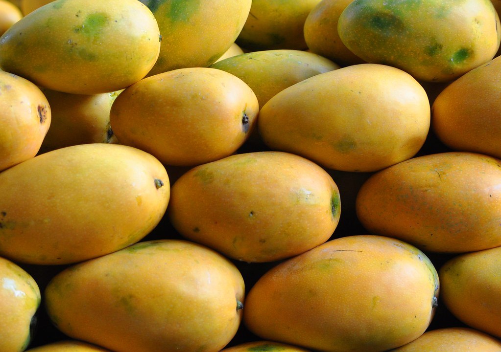 Benishan Mango