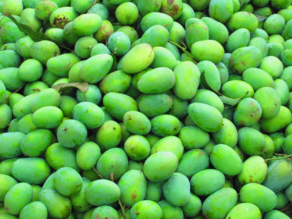 Bombay Green Mango