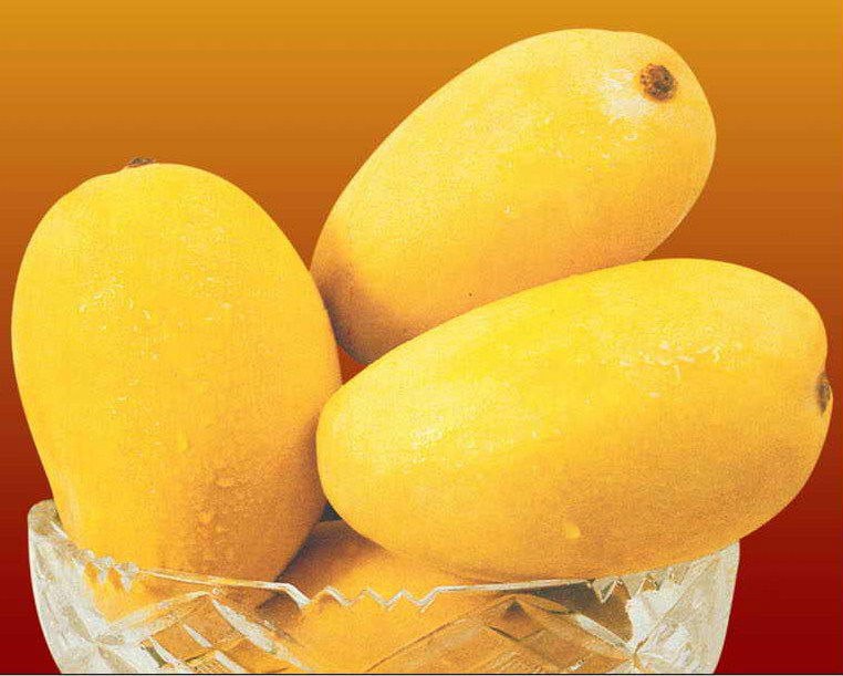 Chausa Mango