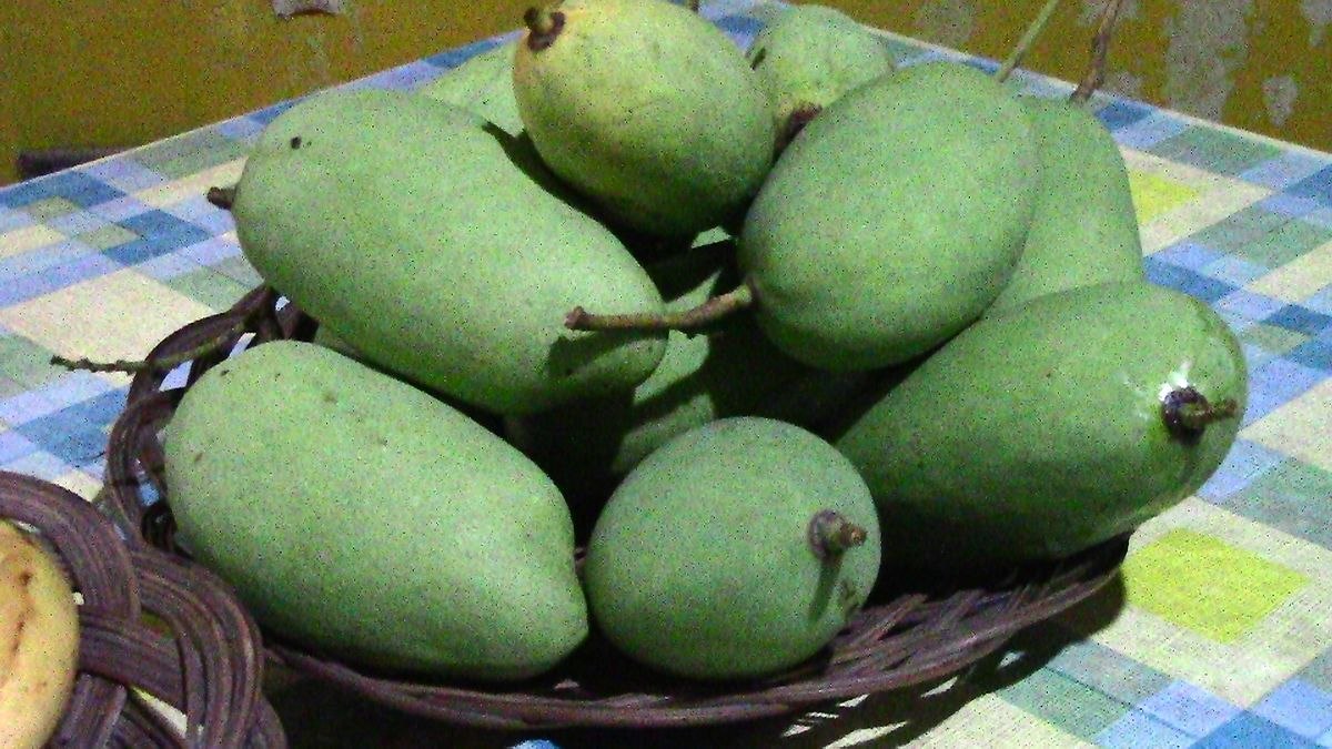 Chok Anan Mango