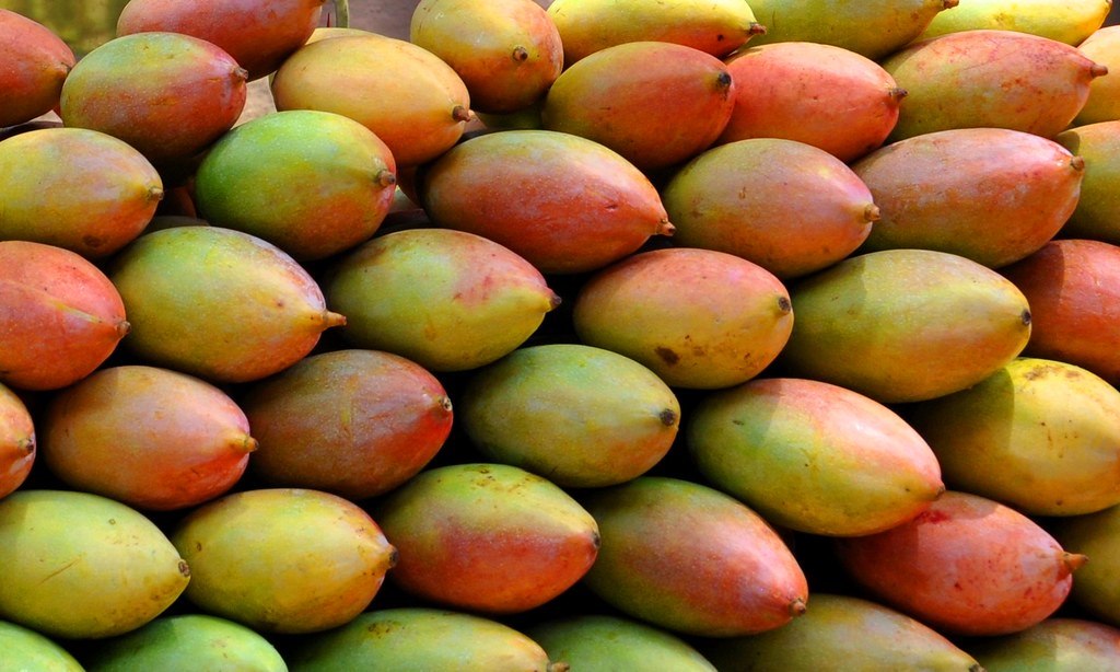 Gulab Khas Mango