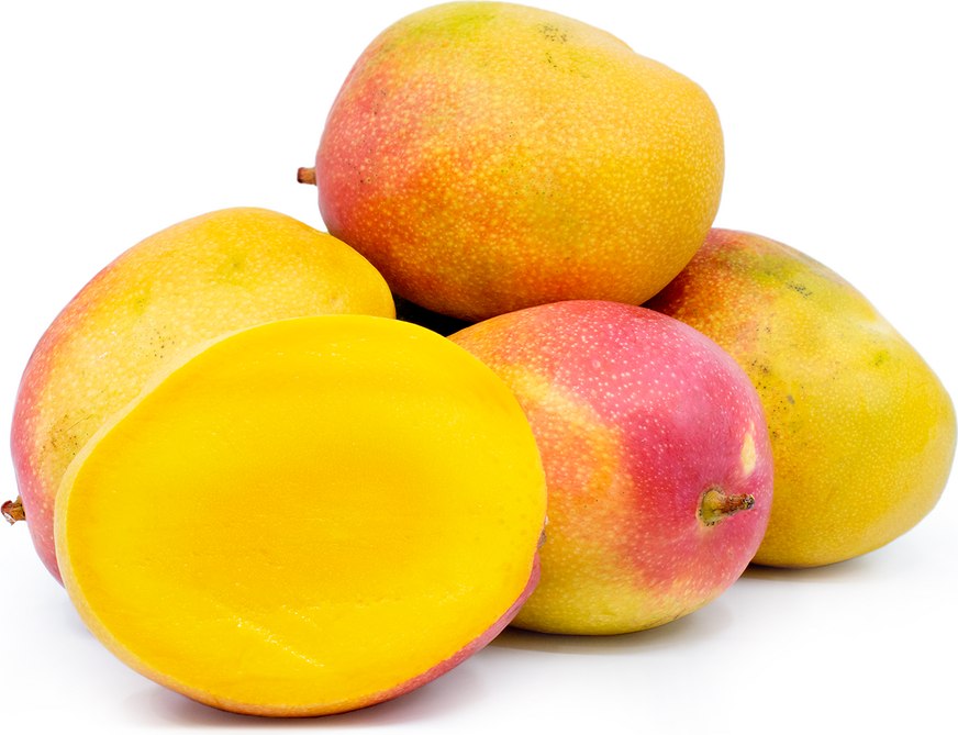 Haden Mango