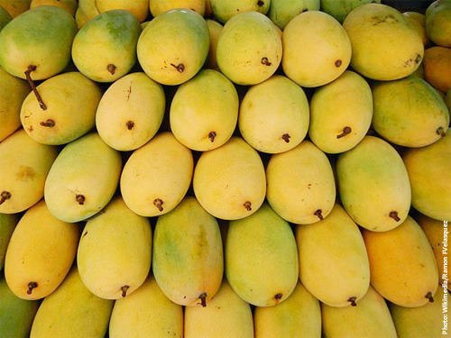 Himsagar Mango