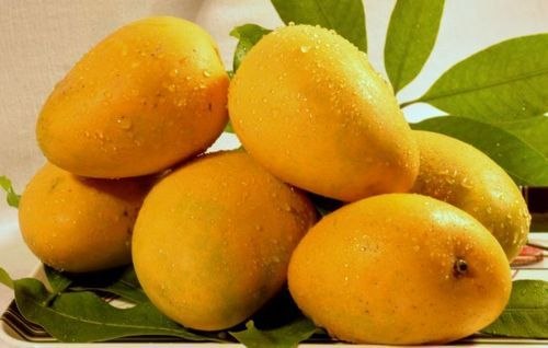 Imam Pasand Mango