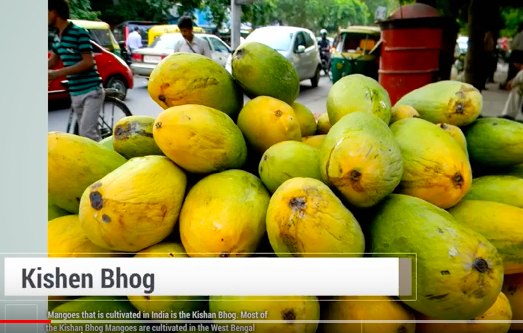 Kishan Bhog Mango