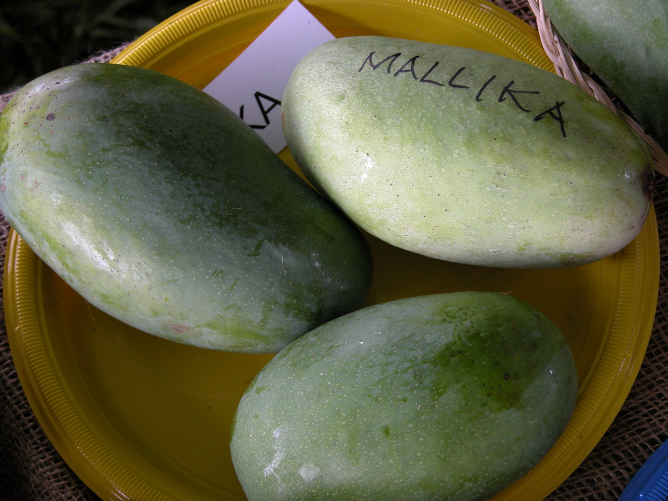 Mallika Mango