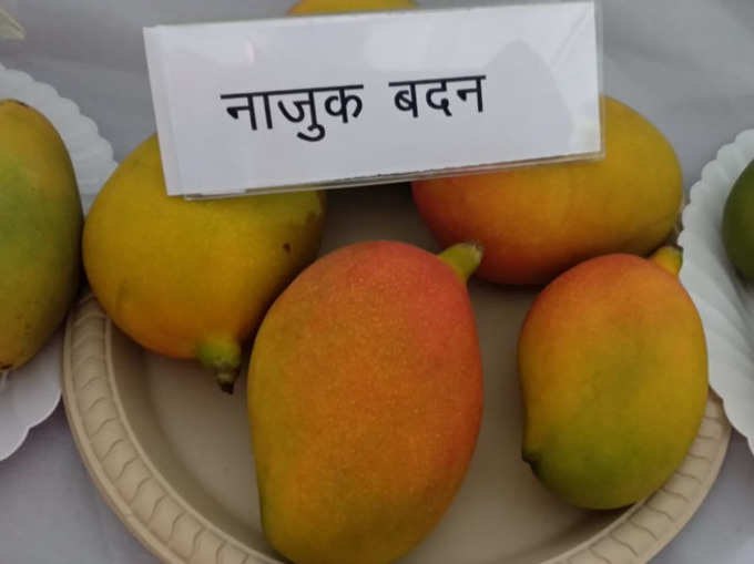 Najuk Mango