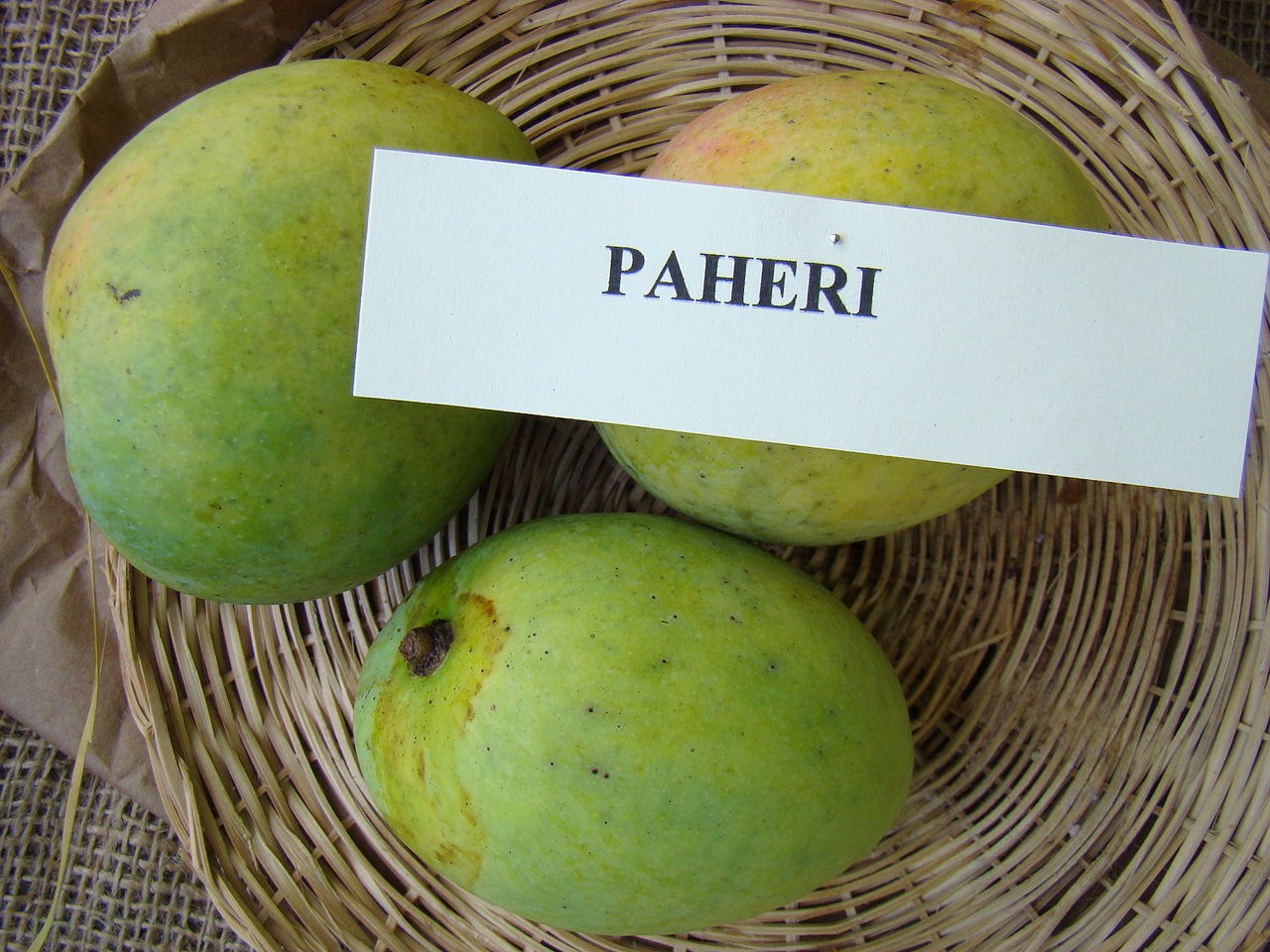 Paheri Mango