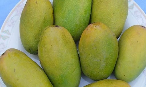 Philihara Mango