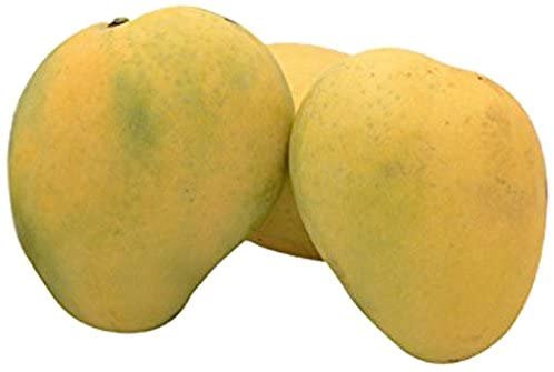 Rajapuri Mango