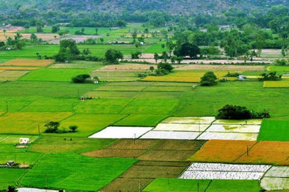 Agricultural Land