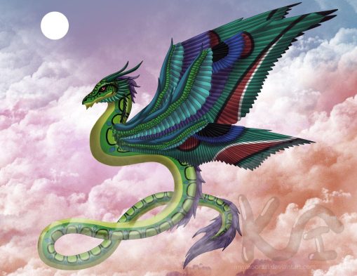 Amphitere Dragon