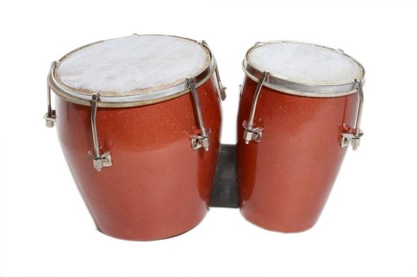 Bongo Drum