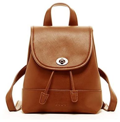 Brown Backpack Purse