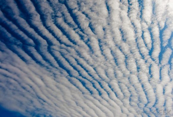 Cirrocumulus Clouds