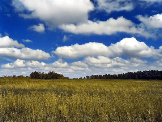 Cumulus Clouds