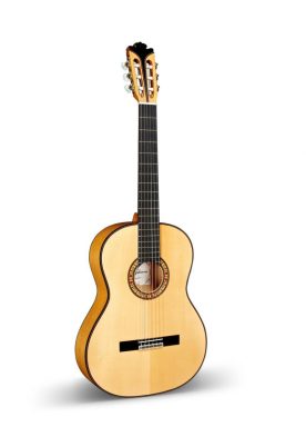 Flamenco Guitar