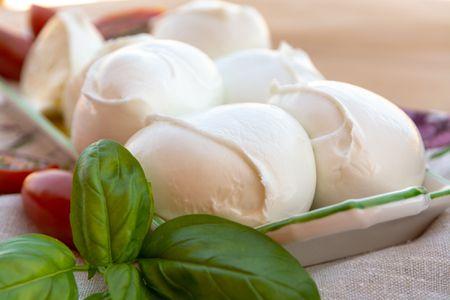 Fresh Mozzarella Cheese