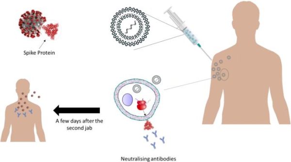 Genetic COVID Vaccine