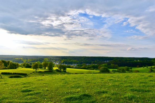 Grasslands Land