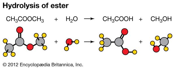 Hydrolysis Reaction