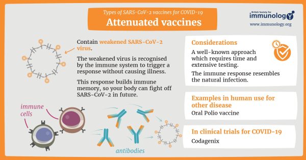 Live Attenuated COVID Vaccine