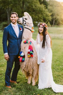 Llama Wedding Theme