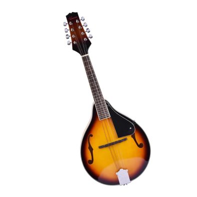 Mandolin Guitar