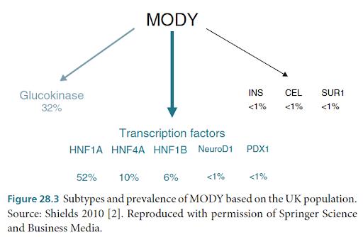 Maturity Onset Diabetes Of The Young (MODY)