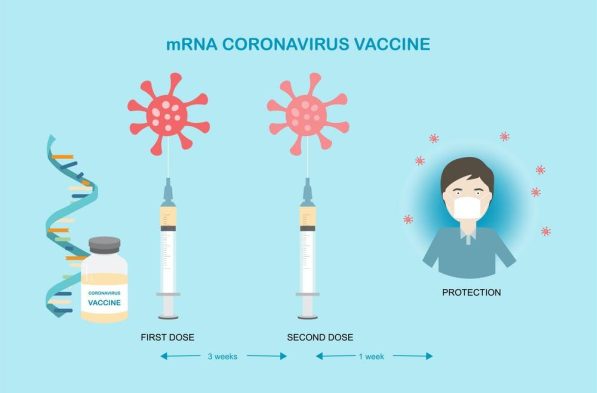 Messenger RNA (MRNA) COVID Vaccine