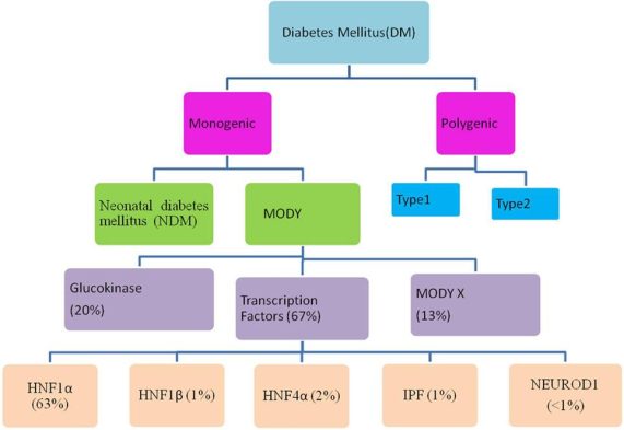 Monogenic Diabetes Syndromes