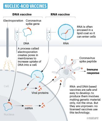 Nucleic Acid COVID Vaccine