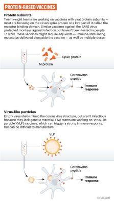 Protein COVID Vaccine