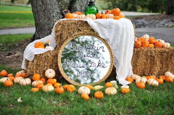 Pumpkin Patch Wedding Theme