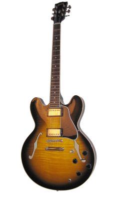 Semi Acoustic Semi Hollow Guitar