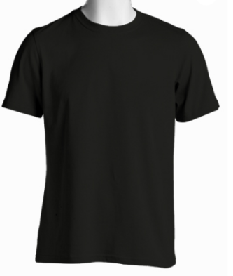 Solid Plain T Shirt