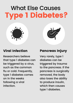 Type 1 Diabetes