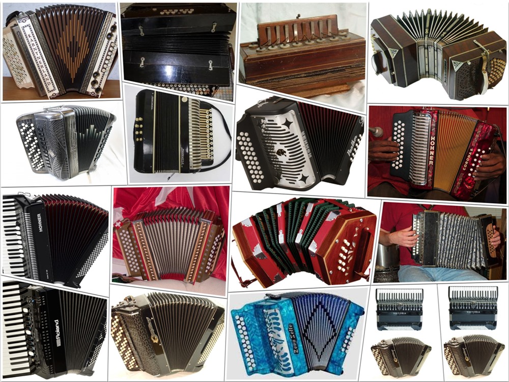 Types of Accordion