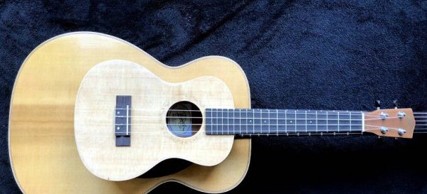 Ukuleles Guitar