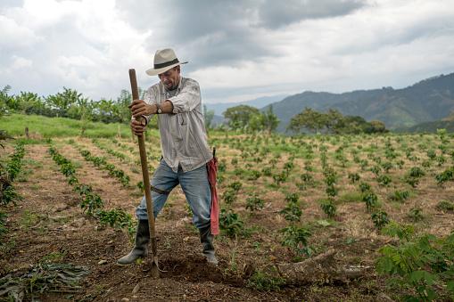 Working Land