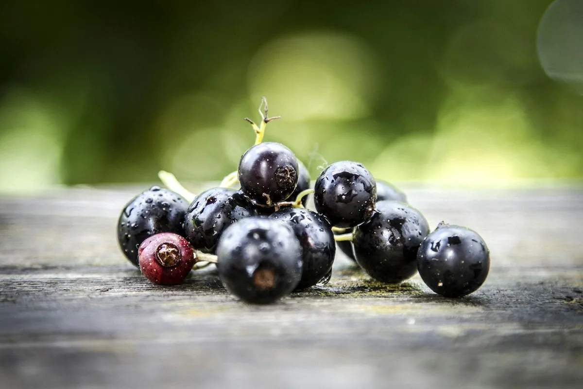 Black currants on a wooden surface