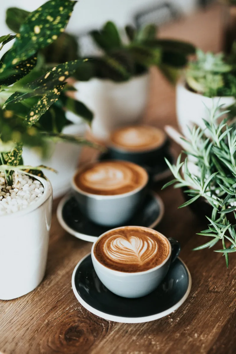 Cappuccino coffee with milk foam in a cup