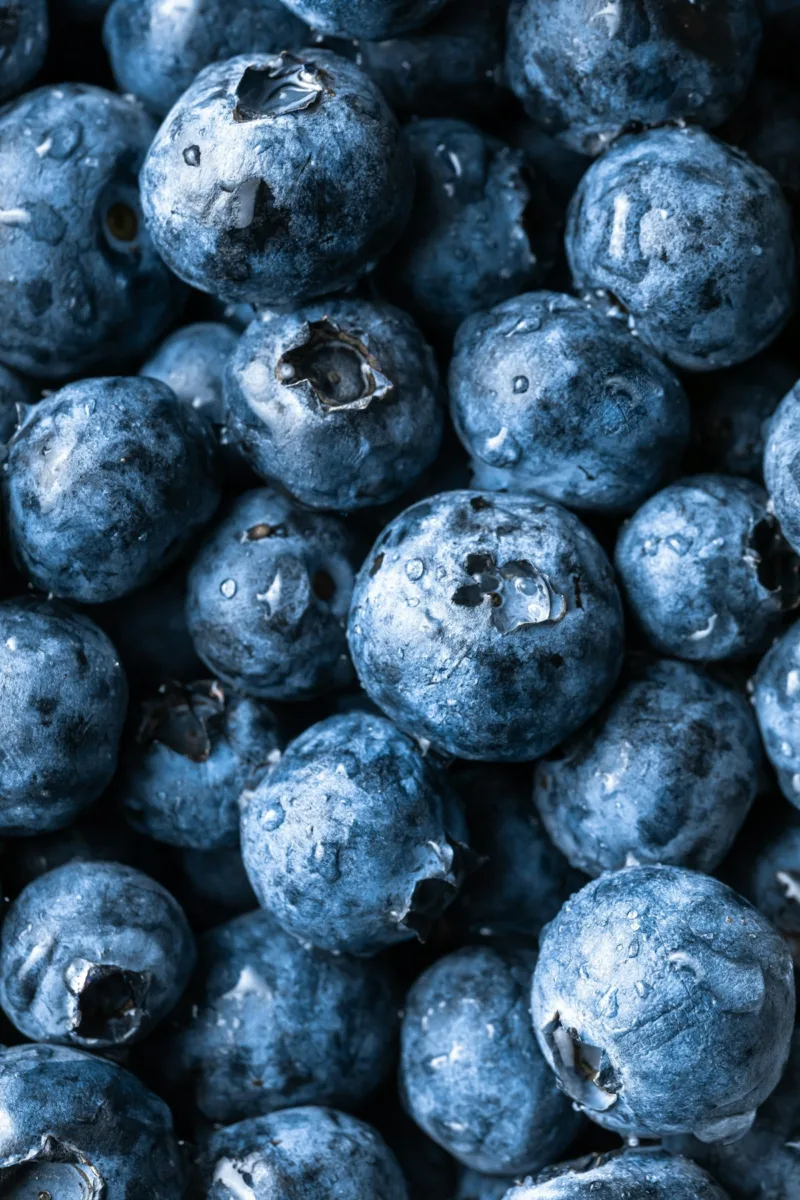 Fresh blueberries close up