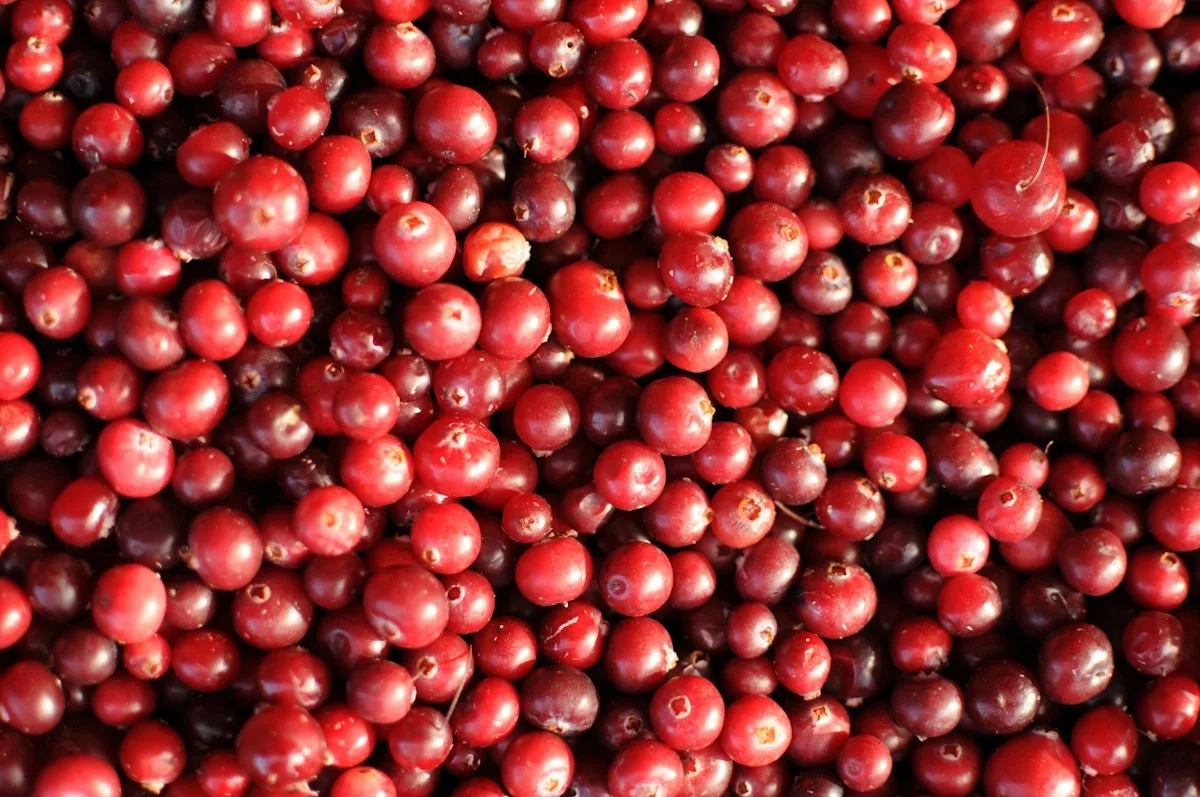 Fresh red cranberries