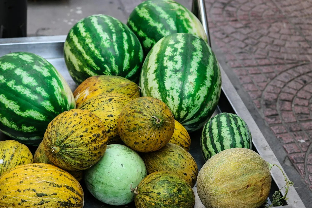 Pile of watermelons and other melons