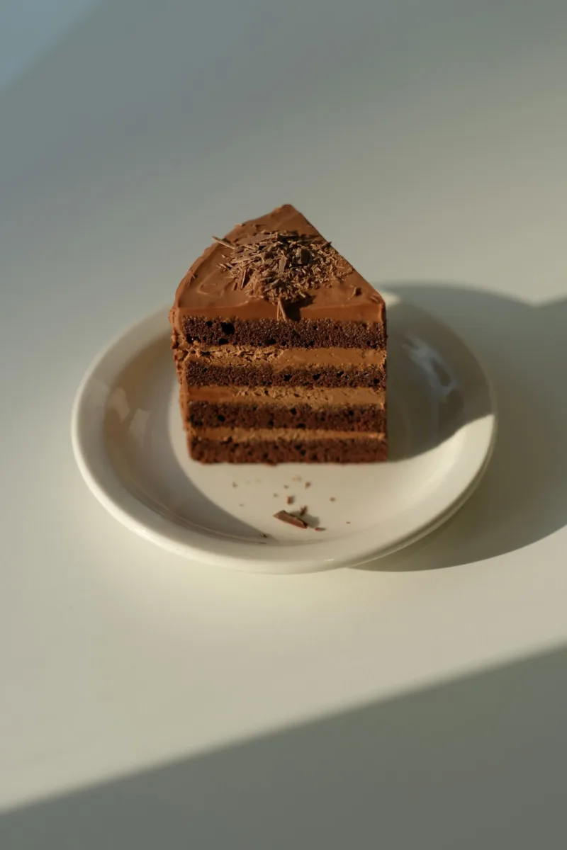 Slice of layered chocolate cake