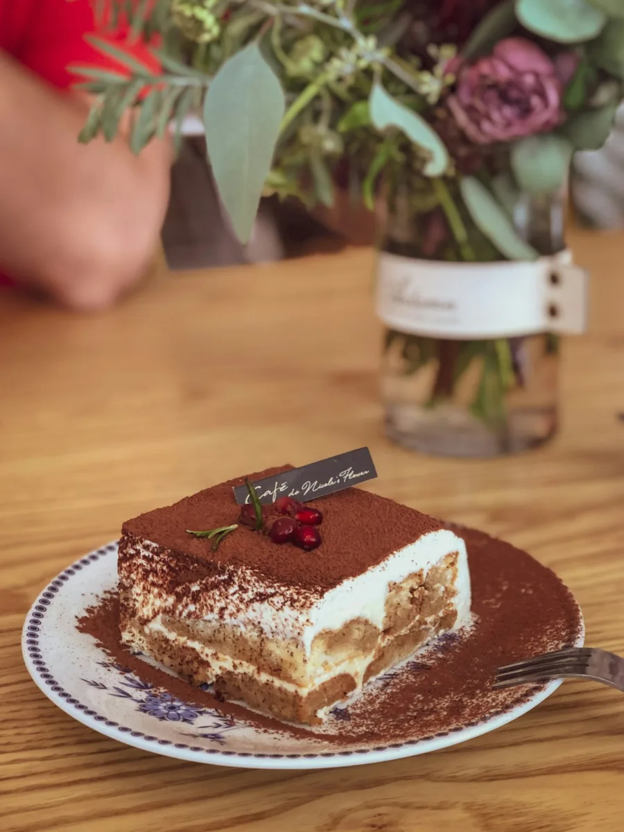 Slice of tiramisu dusted with cocoa