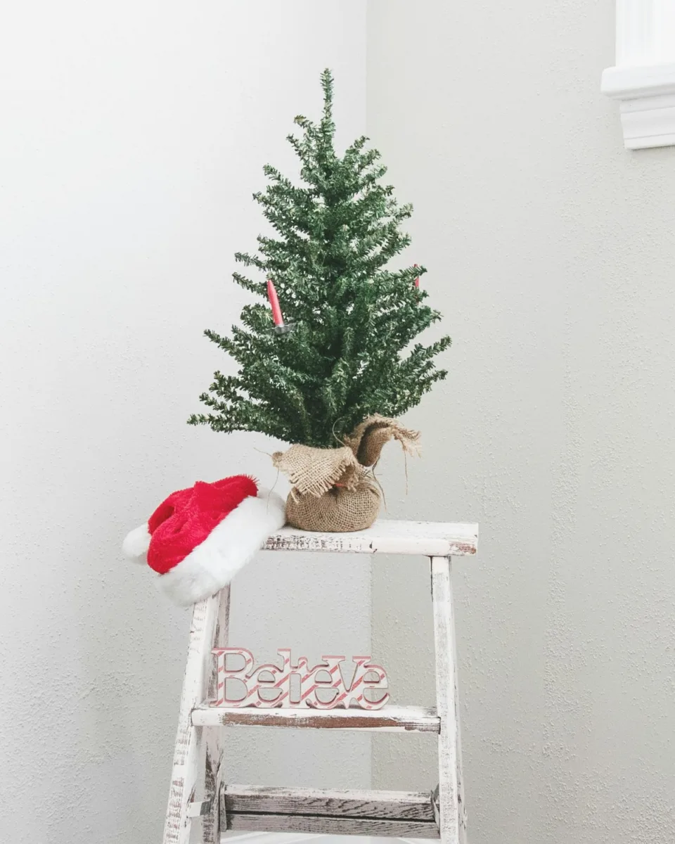 Small potted Christmas tree on a stool